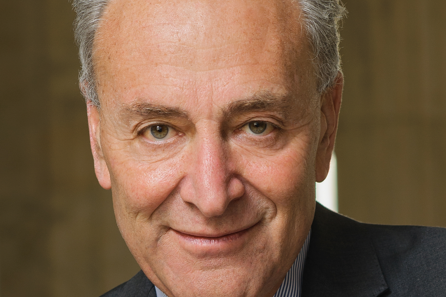 Chuck Schumer 's Senate Democratic Leader photo