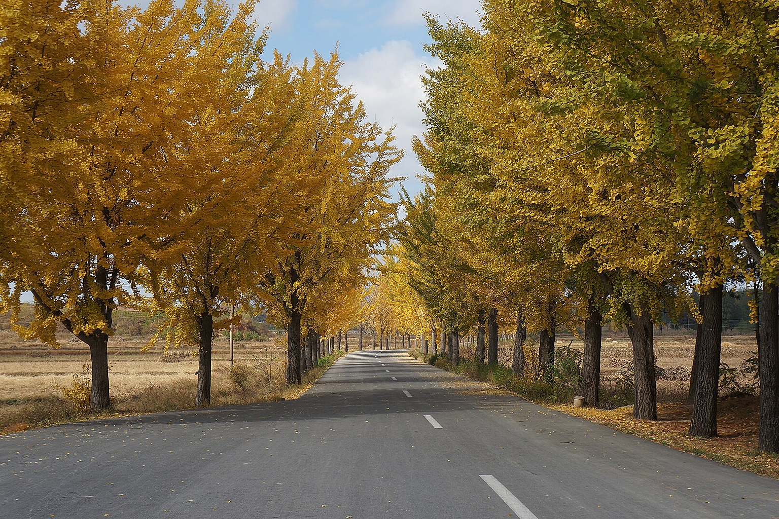 Autumnal landscape in Kaesong, North Korea.