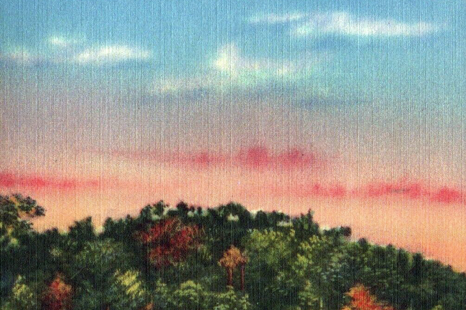 South Carolina in a licensed editorial photograph.