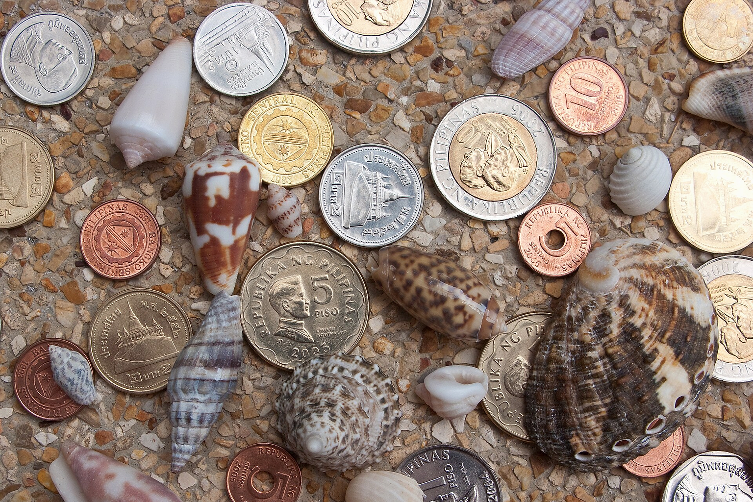 Coins of Southeast Asia. Seashells. Koh Samui, Thailand.