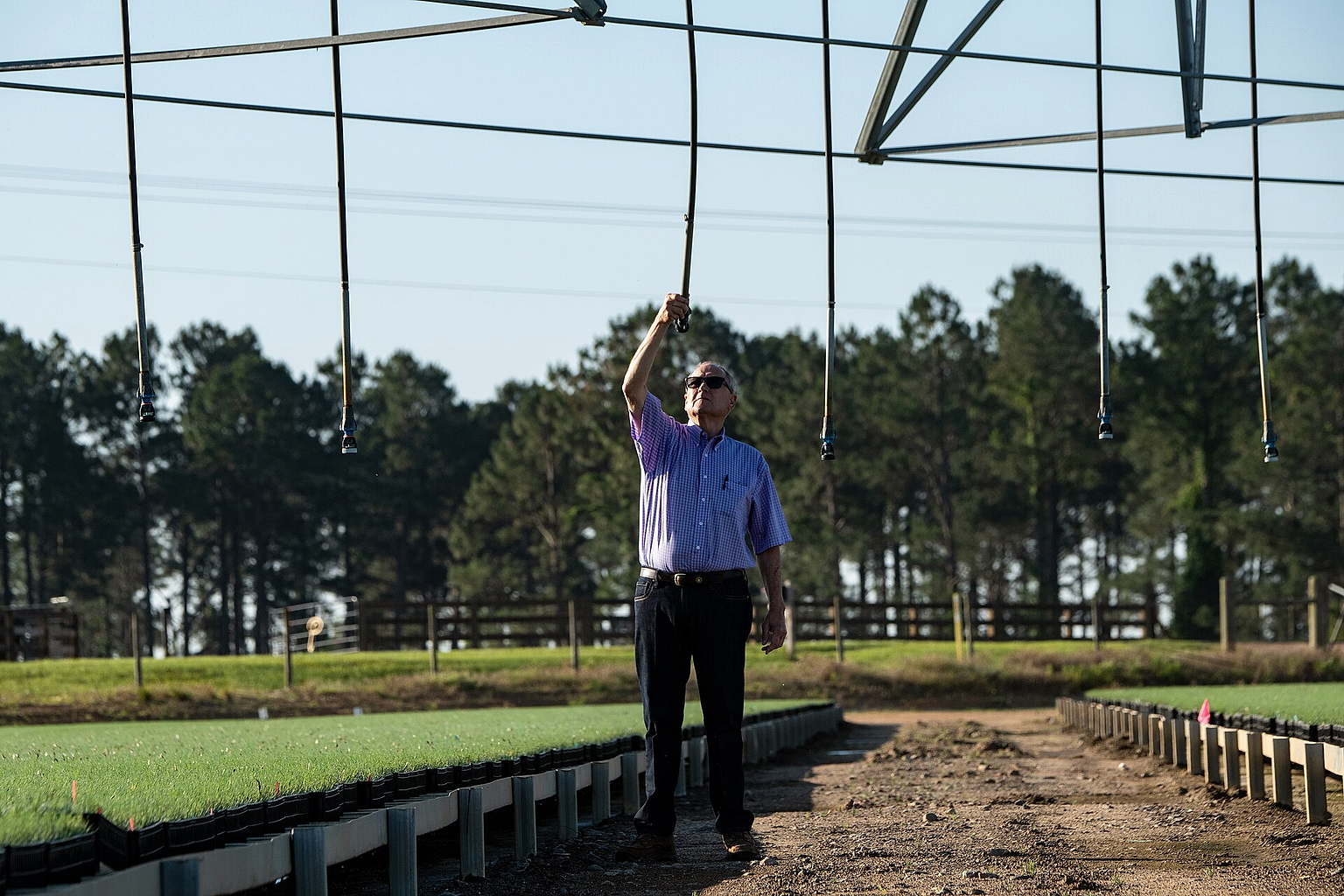 Lewis Taylor Farms co-owner William L. Brim checks on the health of long-leaf pine seedlings and the irrigation system, in Fort Valley, GA, on May 7, 2019. Located near his the greenhouses are two circular crops of long-leaf pines seedlings under a pivot irrigation system equipped with micro-sprinklers. Long-leaf pines are an indigenous tree in the Southeast. Growers are working to increase the number of this slower growing hearty hardwood tree in this region. The farm’s operation includes bell peppers, cucumbers, eggplant, squash, strawberries, tomatoes, cantaloupe, watermelon and a variety of specialty peppers on 6,500 acres; and cotton and peanuts on 1,000 acres. Mr. Brim talks about the immigration and disaster relief challenges following Hurricane Michael. USDA helped this farm with the Farm Service Agency (FSA) Emergency Conservation Program (ECP) for structural damage cleanup. He also mentions the importance of having Secretary Sonny Perdue, a person with agricultural background, come visit and listen to 75 producers six months ago, in southwest Georgia. USDA Photo by Lance Cheung. FSA www.fsa.usda.gov/index ECP www.fsa.usda.gov/programs-and-services/conservation-progr...
