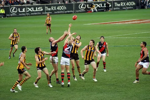 A stoppage in an AFL game between the Hawks and the Bombers.
