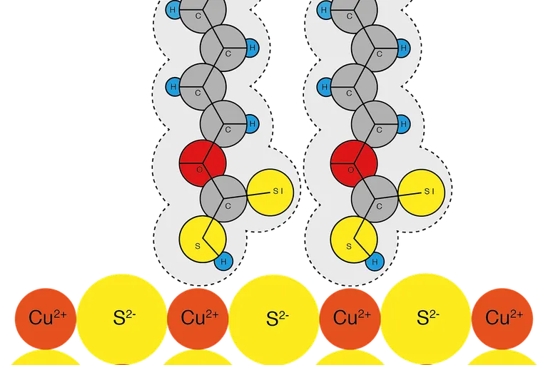 Vereinfachte Darstellung der Bindung von Xanthogensäurepentylester an Kupferkies. Je ein Wasserstoffatom liegt, an Kohlenstoff gebunden, hinter der Zeichenebene. (Nach Hagihara, 1952)
