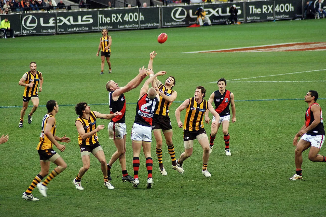 A stoppage in an AFL game between the Hawks and the Bombers.