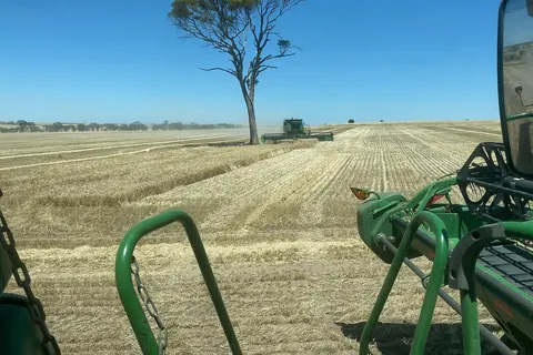 Landwirtschaft Westaustralien