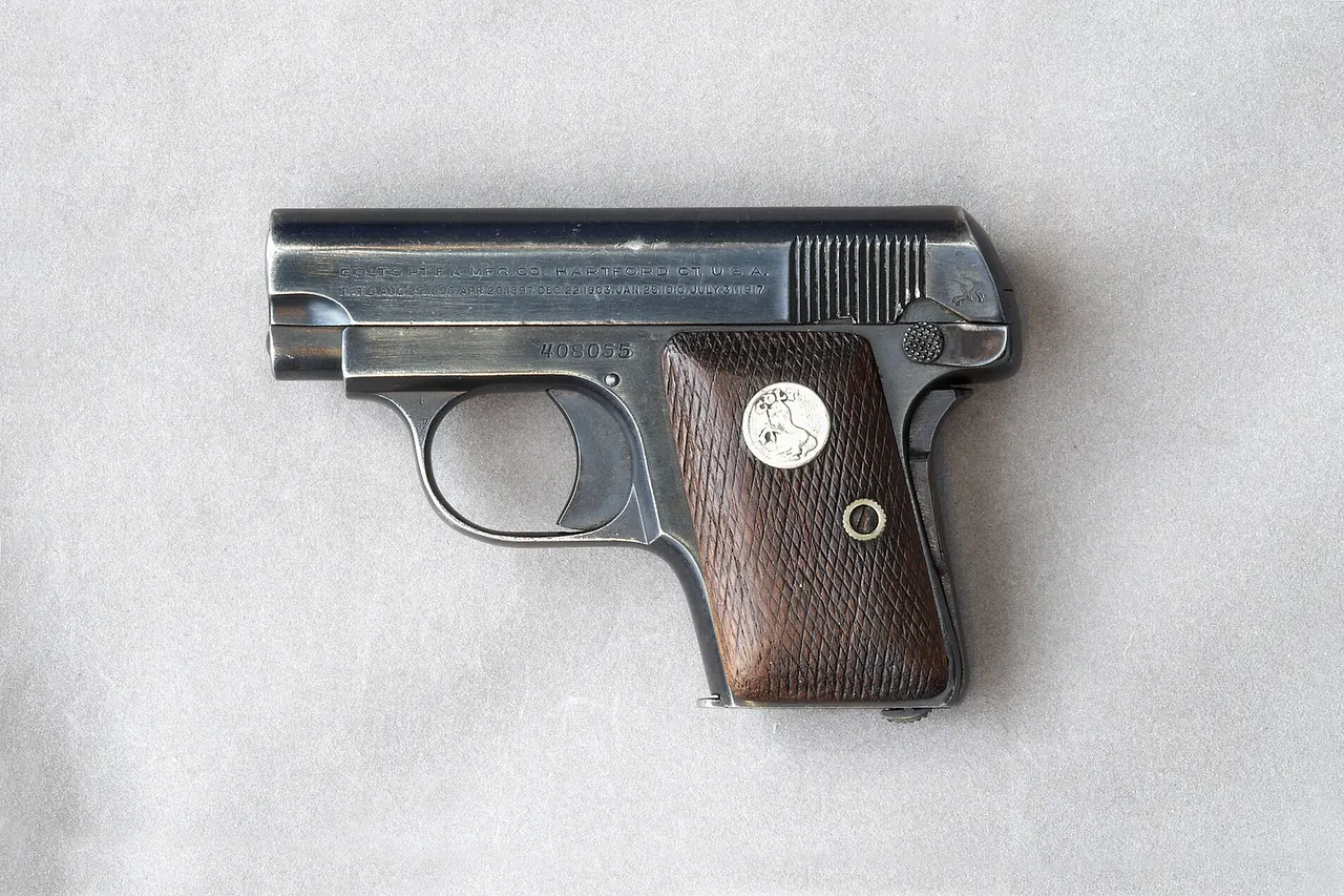 Colt 1908 .25 ACP S/n 408055 left side. Made c. 1940. Located Sykesville, MD. 2013. This 408nnn sample is a gun that has seen a lot of holster and carry wear but remains clean mechanically: the safety and lock-open lever and the notches into which it fits, are clean and tidy. The skin of the gun is clean. See also file of right side.
