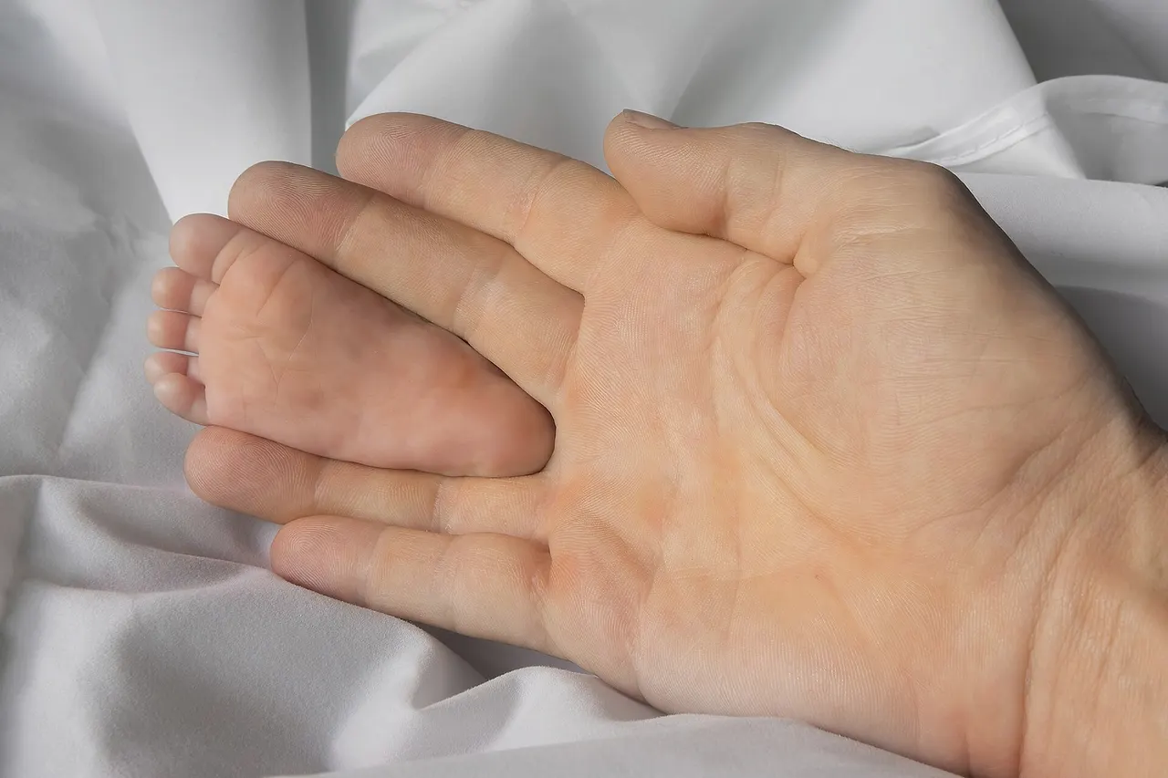 Sole of foot of a one month old infant , held between the middle finger and the ring finger of an adult hand, for size comparison, on a white bed sheet, in Don Det , Si Phan Don , Laos .