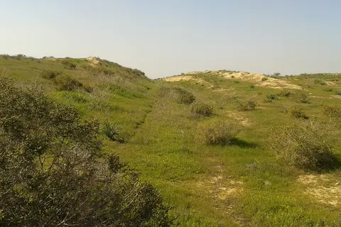 מקטע המסילה מאופקים לשדה תימן