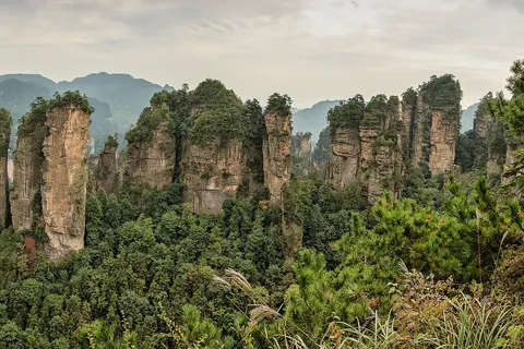 Five fingers peak. Quartzite sandstone Huangshizhai Zhangjiajie Wulingyuan Hunan, China. Panorama 2012.