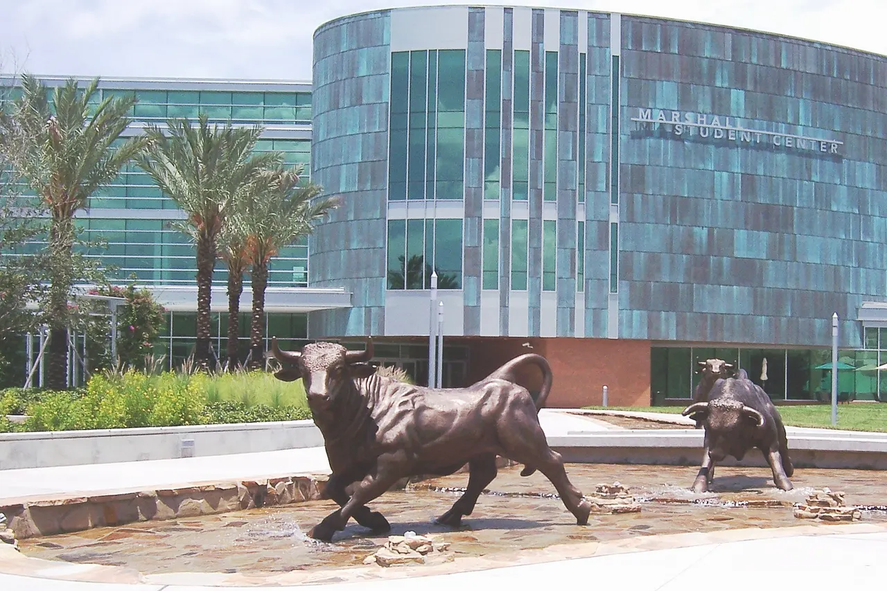 The Running of the Bulls in front of the University of South Florida's Marshall Center