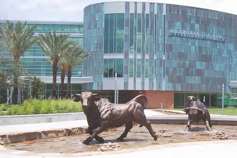 The Running of the Bulls in front of the University of South Florida's Marshall Center