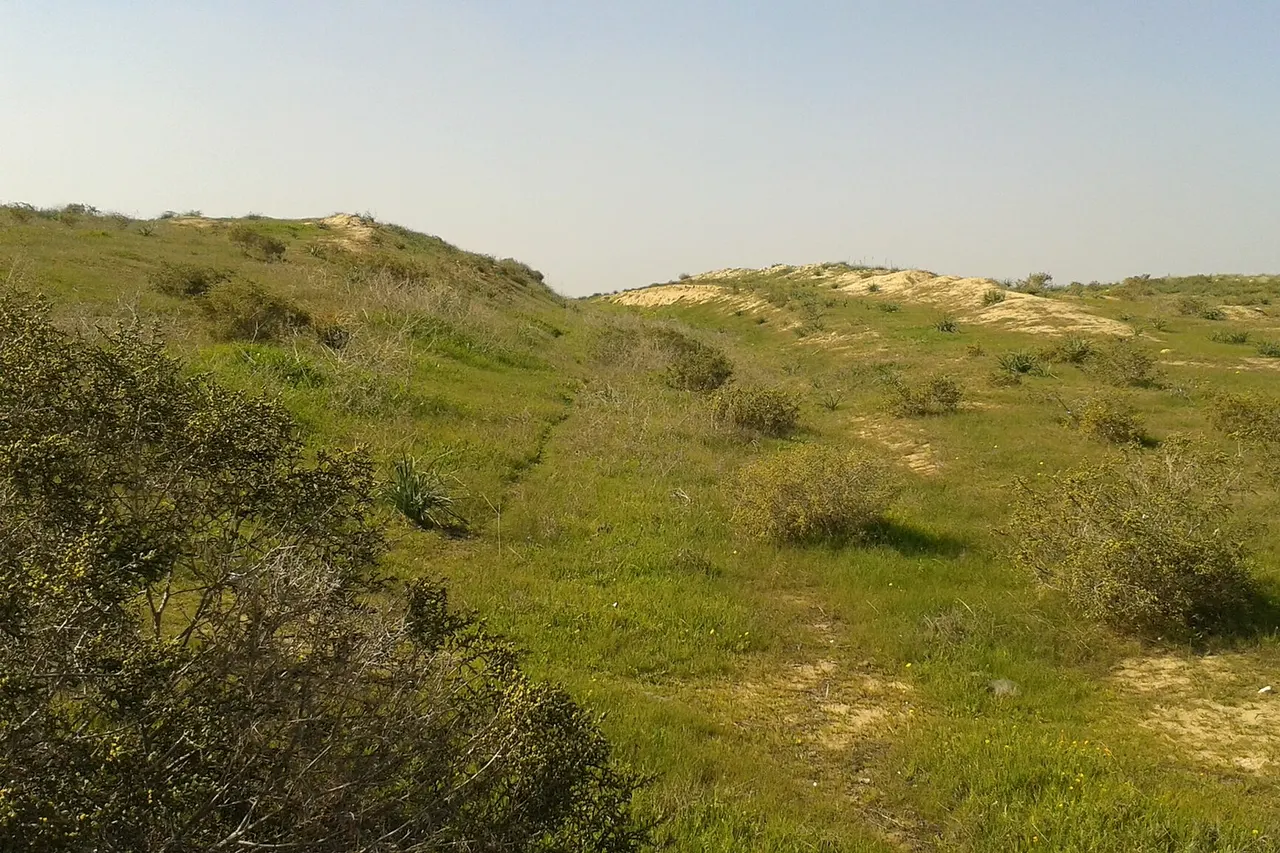 מקטע המסילה מאופקים לשדה תימן