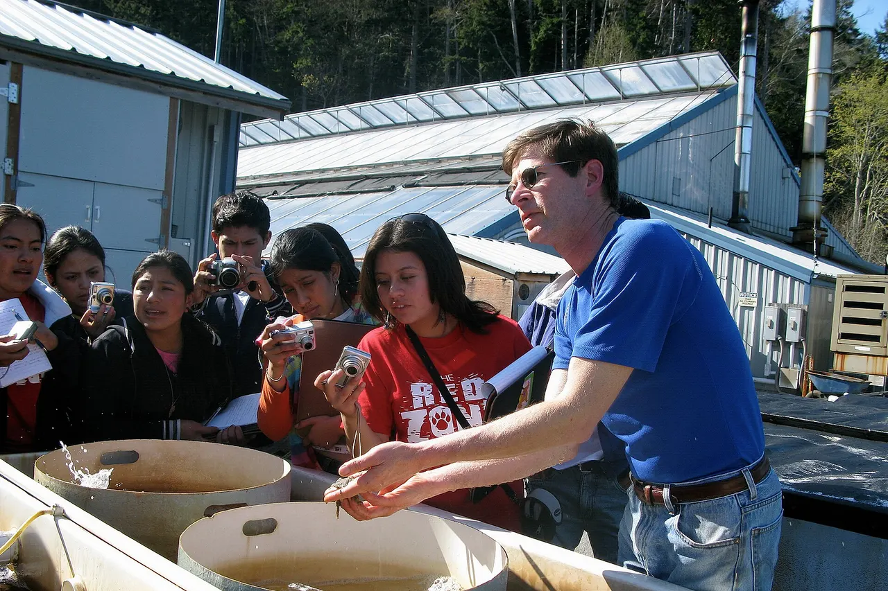 hatchery manager in Taylor Shellfish Farms at Jefferson County (probably Dabob Bay)