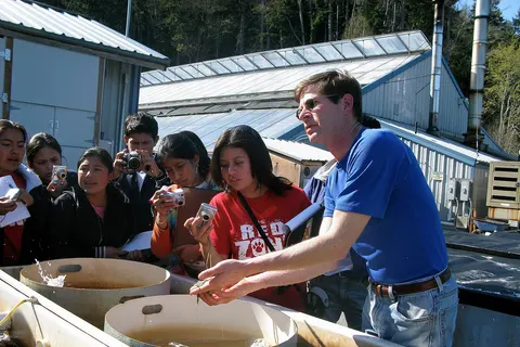 hatchery manager in Taylor Shellfish Farms at Jefferson County (probably Dabob Bay)