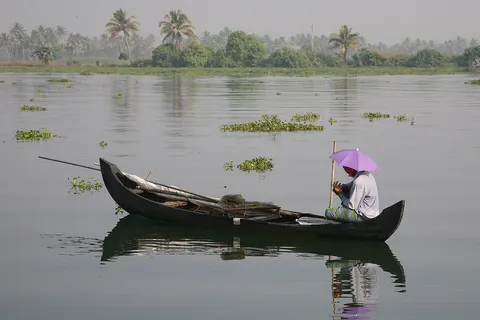 From the backwaters in Kerala (Near Punnamada Lake ).