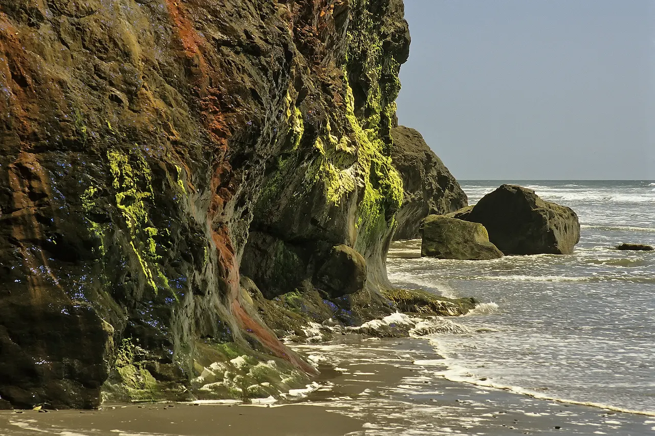 Rock face in Ruby Beach with hot springs in the Olympic National Park , Washington State , USA .