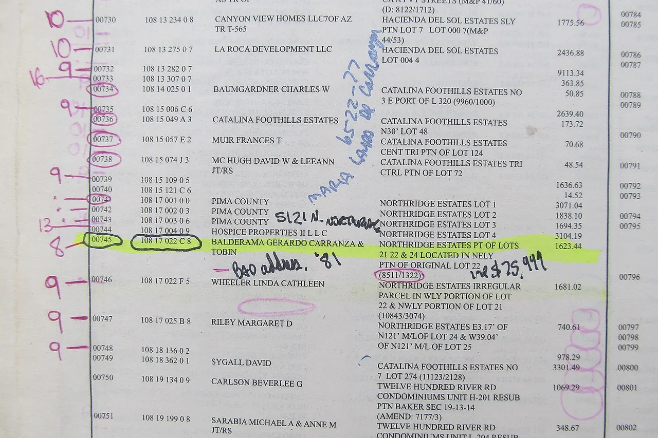 Pima County, Arizona delinquent property tax list for auction by the County Treasurer. It was a live auction. Red pen is the interest rate. The highlighted one I did research on, recommended a friend buy it, he did, got the property and was supposed to split the value of it minus his costs but he was hit by a car crossing the street and died.