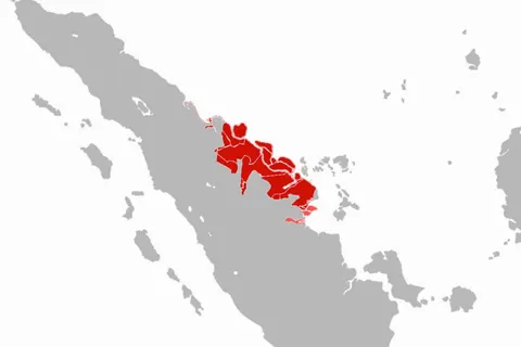 The map of Riau Malay language sphere: The regions where Riau Malay language is native and spoken predominantly The regions where Riau Malay language (mixed with another languages) spoken predominantly