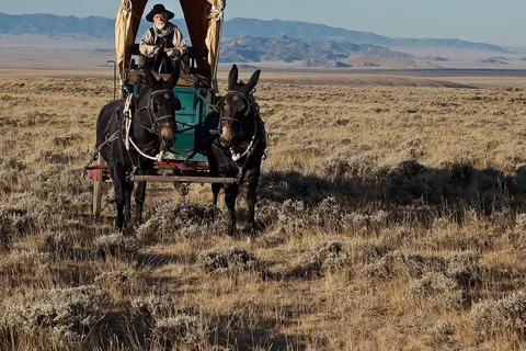 Section of the Oregon Trail Blue Mountain Crossing Segment — of the pioneer [[:en:Oregon Trail| Oregon Trail ]] in [[:en:Wyoming| Wyoming ]]. Protected within a Bureau of Land Management area in Wyoming . Oregon National Historic Trail — National historic trails can take us back, returning us literally and symbolically to a point of departure in geography and time. Who among us has not wondered what it was like for America's pioneers to lie on the open ground of the western high plains on a starlit night and to hear wolves howl in the distance? To walk in the footsteps of these men and women today is to glimpse their experience and to feel their purpose and courage. National historic trails help us recreate this unique chapter in American history when, starting more than 170 years ago, some 500,000 emigrants made their way overland to the far western edge of the continent. Their determination resulted in 12 new states joining the Republic between 1840 and 1890, all west of the Mississippi River . Congress designates national historic trails “to protect historic landscapes and inform our curiosity about the past.” Visitors to the Oregon National Historic Trail have more than 350 miles to explore on Wyoming public lands managed by the Bureau of Land Management . One pristine stretch extends a full 35 miles entirely on BLM lands—farther than most emigrant parties could walk in a single day. Thanks to the foresight and dedication of preservation-minded citizens and volunteers, the Oregon, Mormon Pioneer , California , and Pony Express routes are all managed as national historic trails. BLM-managed sections are part of the National Conservation Lands .