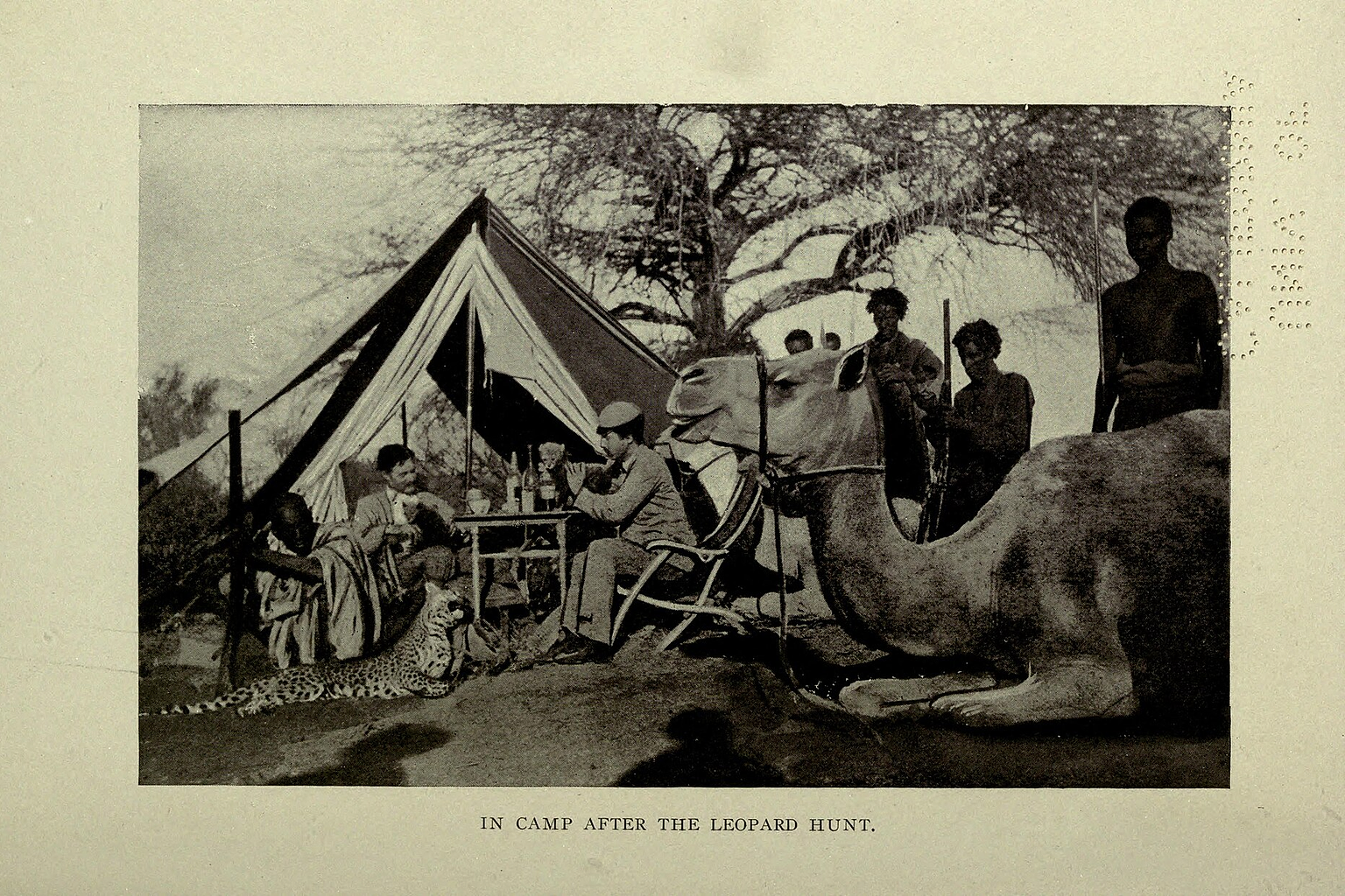 George Bird Grinnell and Theodore Roosevelt (Editors.). Trail and Camp-fire: the Book of the Boone and Crockett Club. New York: Forest and Stream publishing Company, 1997.