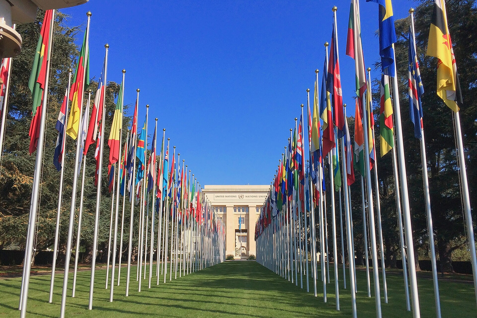United Nations Office at Geneva Flags