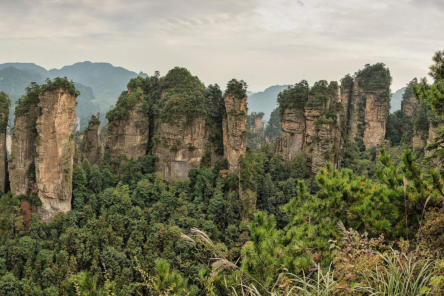 Five fingers peak. Quartzite sandstone Huangshizhai Zhangjiajie Wulingyuan Hunan, China. Panorama 2012.