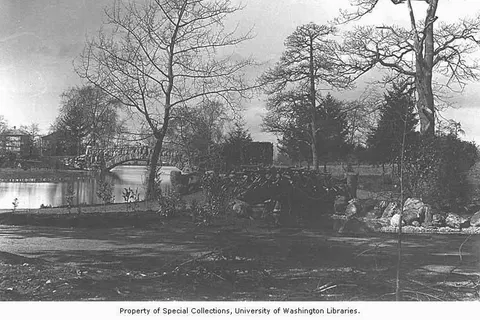 Caption on mount: Beacon Hill Park PH Coll 1496.2a Beacon Hill Park was designed by John Blair (1820-1906). Born in Scotland, John Blair trained as a landscape gardener and then immigrated to St. Catherines, Ontario. He spent three years there working as a gardener before moving on to the Chicago area in 1854. Blair got his start in the United States designing the private estate of John Holland in Rockford, Illinois, followed by the design of the grounds of the Elgin Mental Health Center in Elgin, Illinois. By the 1860s Blair had become the Superintendent of Parks in Chicago where he influenced the design of a number of early parks, including Lincoln, Garfield, Humbolt, Douglas, Jefferson, Union and Ellis Parks. He left Chicago (later selling his home to an aspiring young architect named Frank Lloyd Wright) and by 1871 had settled in Colorado Springs, Colorado. Here he was employed by the founder of Colorado Springs, General William Palmer, to lay out parks, trails and major housing developments and to design Evergreen Cemetery and the grounds of General Palmer’s private ‘castle’, Glen Eyrie. In 1881, Blair moved to Victoria, British Columbia, eventually building a home near Duncan, B.C. In 1889, at the age of 69, Blair entered a competition to design and build Beacon Hill Park in Victoria. By this time, Blair’s signature design style was fully developed. It included the use of rock features, combined with water and trees, to create natural looking landscapes. His design for Beacon Hill Park further articulated this style. He easily won the competition and was given the sum of $25,000 to do the job. One of Blair’s first decisions was to hire another Scot, George Fraser, as his foreman. (Fraser later became one of Canada’s foremost hybridizers of rhododendrons.) In carrying out the winning design, Blair and Fraser began by lining a low-lying area with rocks and creating a lake. This wetland area is now a wildfowl preserve and home to countless ducks, as well as a pair of bald eagles that nest in a cottonwood tree each year. Several local citizens were persuaded to purchase 2000 trees and shrubs from a nursery in Germantown, Pennsylvania, and today they form the basic canopy of the park. Blair’s design for the stone bridge over Goodacre Lake (resembling a bridge he designed in Colorado Springs and another in Union Park in Chicago) is still intact and provides one of the focal points of the park. For over 100 years now, Beacon Hill Park has provided Victoria residents with a green retreat, a place for individuals and the community to enjoy and cherish. Subjects (LCTGM): Stone bridges--British Columbia--Victoria; Lakes & ponds--British Columbia--Victoria; Parks--British Columbia--Victoria Subjects (LCSH): Goodacre Lake (Victoria, B.C.); Beacon Hill Park (Victoria, B.C.); Victoria (B.C.)--Buildings, structures, etc.