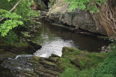 The Silver River in Cadamstown, County Offaly, Ireland