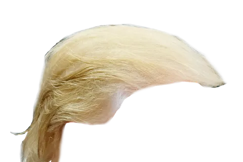 This is a crop emphasizing Donald Trump's iconic hairstyle.