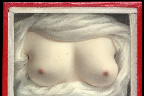 Beauty Revealed , a self-portrait by Sarah Goodridge