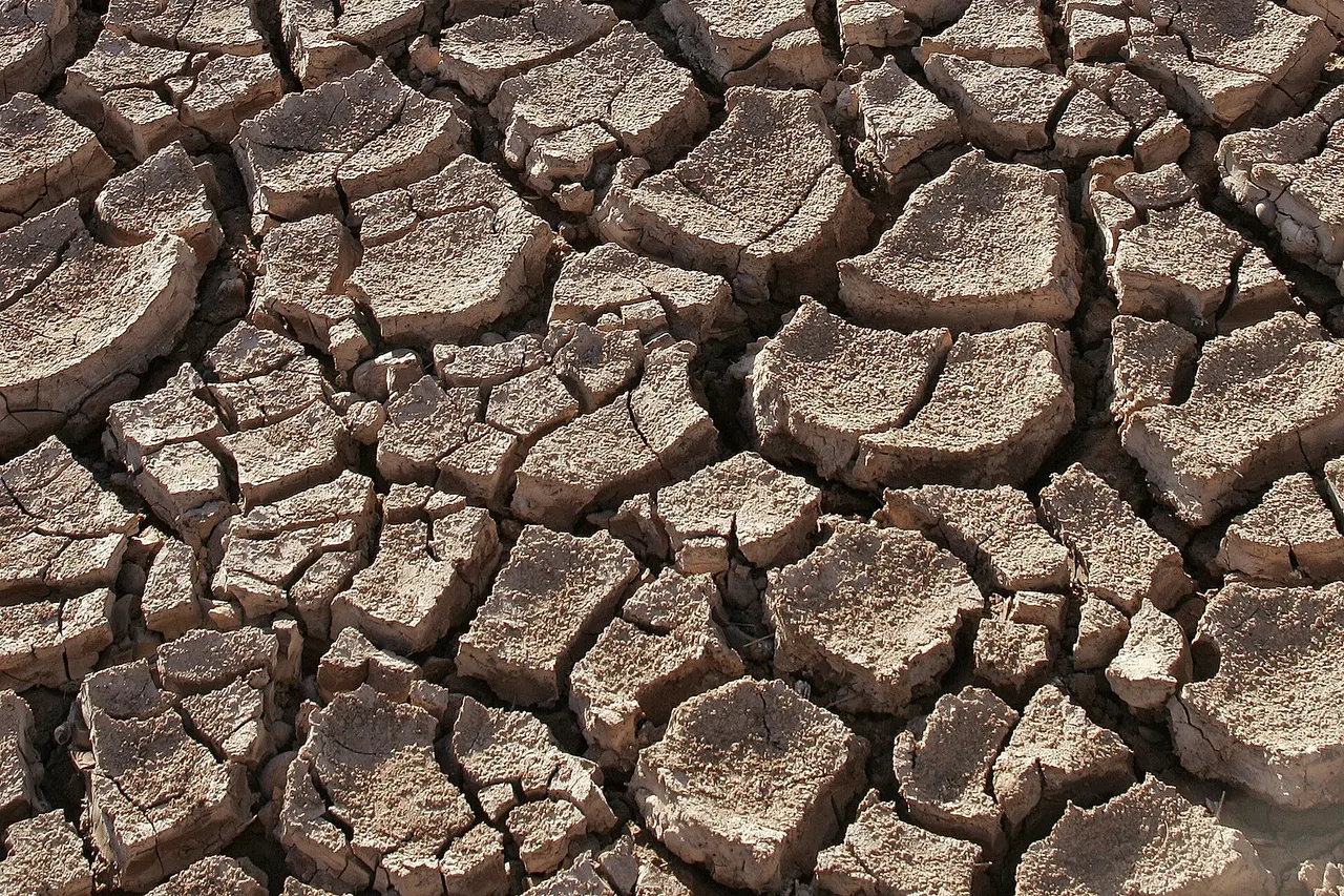 Dry ground in the Sonoran Desert , Sonora,Mexico.
