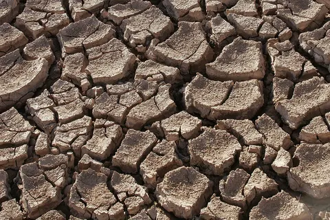 Dry ground in the Sonoran Desert , Sonora,Mexico.
