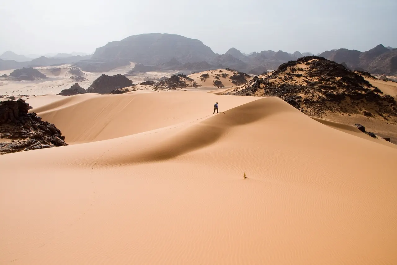 Leaving traces on soft sand dunes in Tadrart Acacus a desert area in western Libya, part of the Sahara .