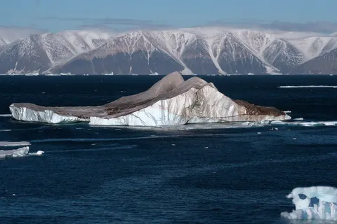 Icebergs in the High Arctic .The image was sent to a glaciologist , Thomas Allen Neumann. It is what he wrote about the coloration of the iceberg: It's too red to be oxidation (like blood falls in Taylor Valley ).The debris loading isn't particularly extensive (the apparent slip plane is interesting, or perhaps a former water channel), but the color is usual. Red algae would be a good guess.Two colleagues have also seen your photo and suggested the majority of the debris was from, ah, biological activity. Specifically, they suggested the reddish appearance may be due to walrus excrement - another example is here ( [1] ). That would explain the color, but perhaps not the discoloration along the band through the ice berg. The part of his email to me was added with his permission.