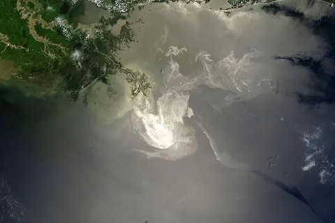 Description from NASA ( source ): "NASA's Terra Satellites Sees Spill on May 24 Sunlight illuminated the lingering oil slick off the Mississippi Delta on May 24, 2010. The Moderate-Resolution Imaging Spectroradiometer (MODIS) on NASA’s Terra satellite captured this image the same day. Oil smoothes the ocean surface, making the Sun’s reflection brighter near the centerline of the path of the satellite, and reducing the scattering of sunlight in other places. As a result, the oil slick is brighter than the surrounding water in some places (image center) and darker than the surrounding water in others (image lower right). The tip of the Mississippi Delta is surrounded by muddy water that appears light tan. Bright white ribbons of oil streak across this sediment-laden water. Tendrils of oil extend to the north and east of the main body of the slick. A small, dark plume along the edge of the slick, not far from the original location of the Deepwater Horizon rig, indicates a possible controlled burn of oil on the ocean surface. To the west of the bird’s-foot part of the delta, dark patches in the water may also be oil, but detecting a manmade oil slick in coastal areas can be even more complicated than detecting it in the open ocean. When oil slicks are visible in satellite images, it is because they have changed how the water reflects light, either by making the Sun’s reflection brighter or by dampening the scattering of sunlight, which makes the oily area darker. In coastal areas, however, similar changes in reflectivity can occur from differences in salinity (fresh versus salt water) and from naturally produced oils from plants. Michon Scott, NASA's Earth Observatory, NASA Goddard Space Flight Center"