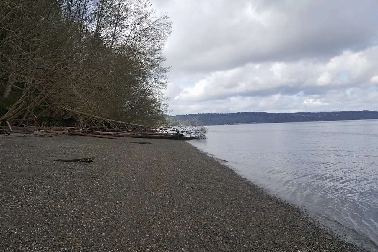 Owen Beach in Tacoma, WA in March