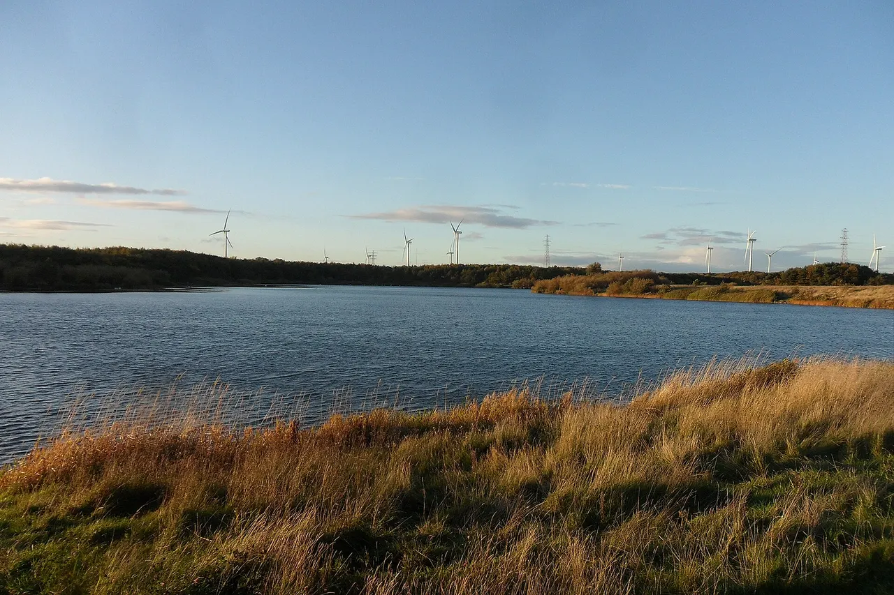 Queen Elizabeth II Country Park