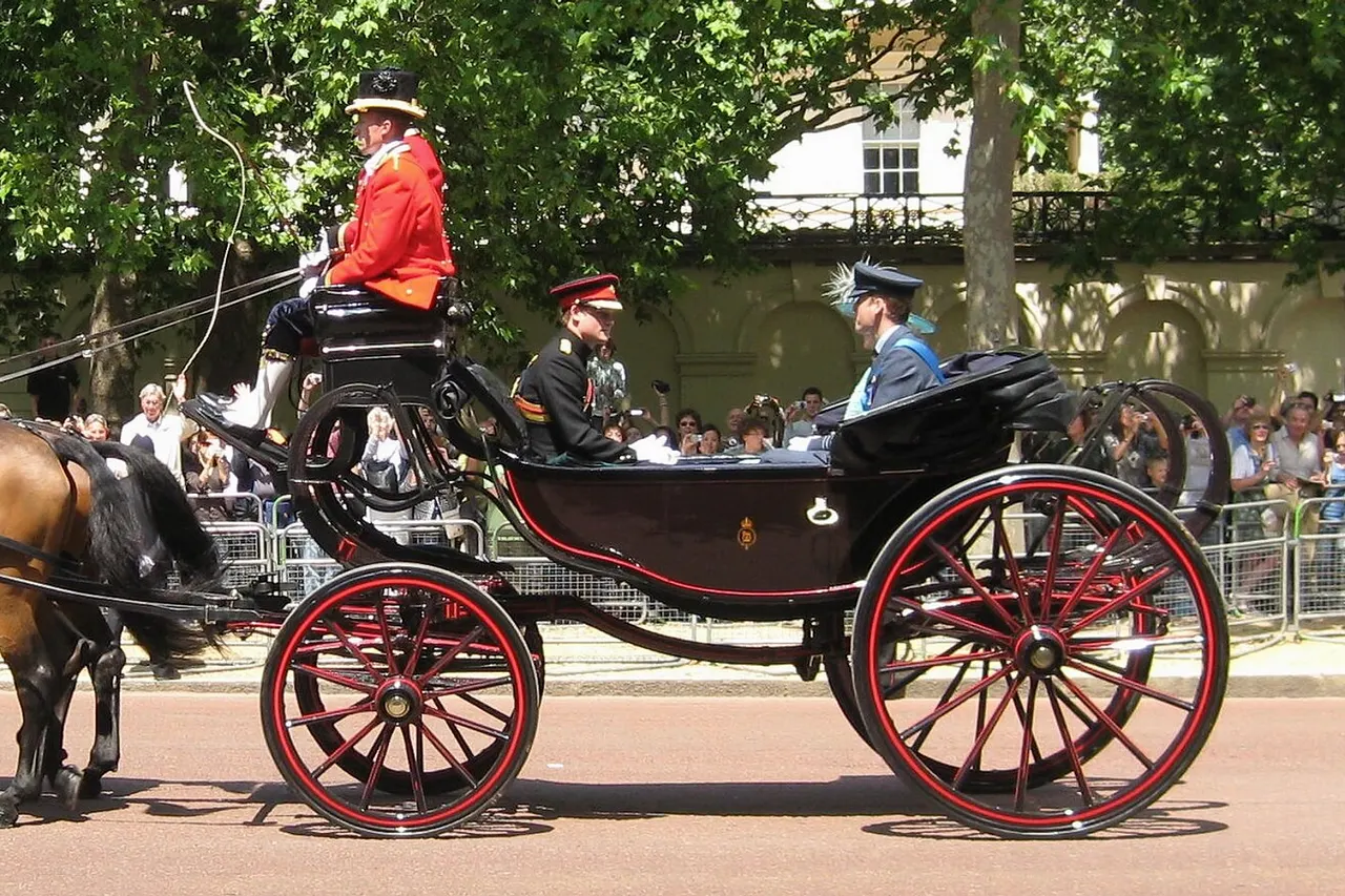 Prince William of Wales & Prince Henry of Wales