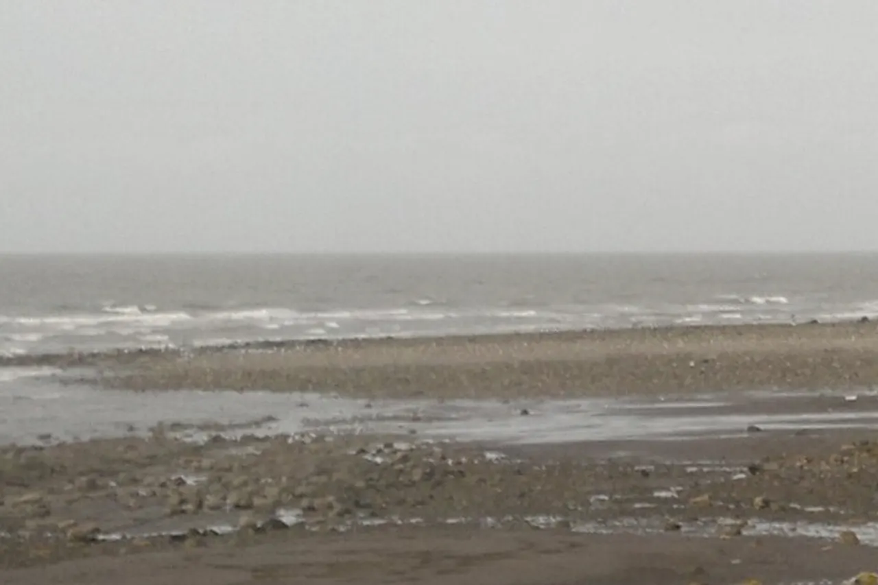 Coastline at Parton
