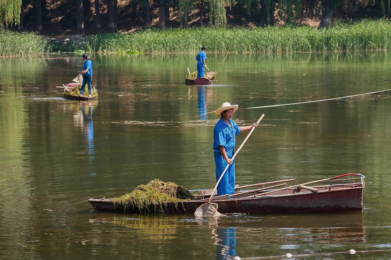 Beijing, China: Woman, cleaning the West Lake near Summer Palace