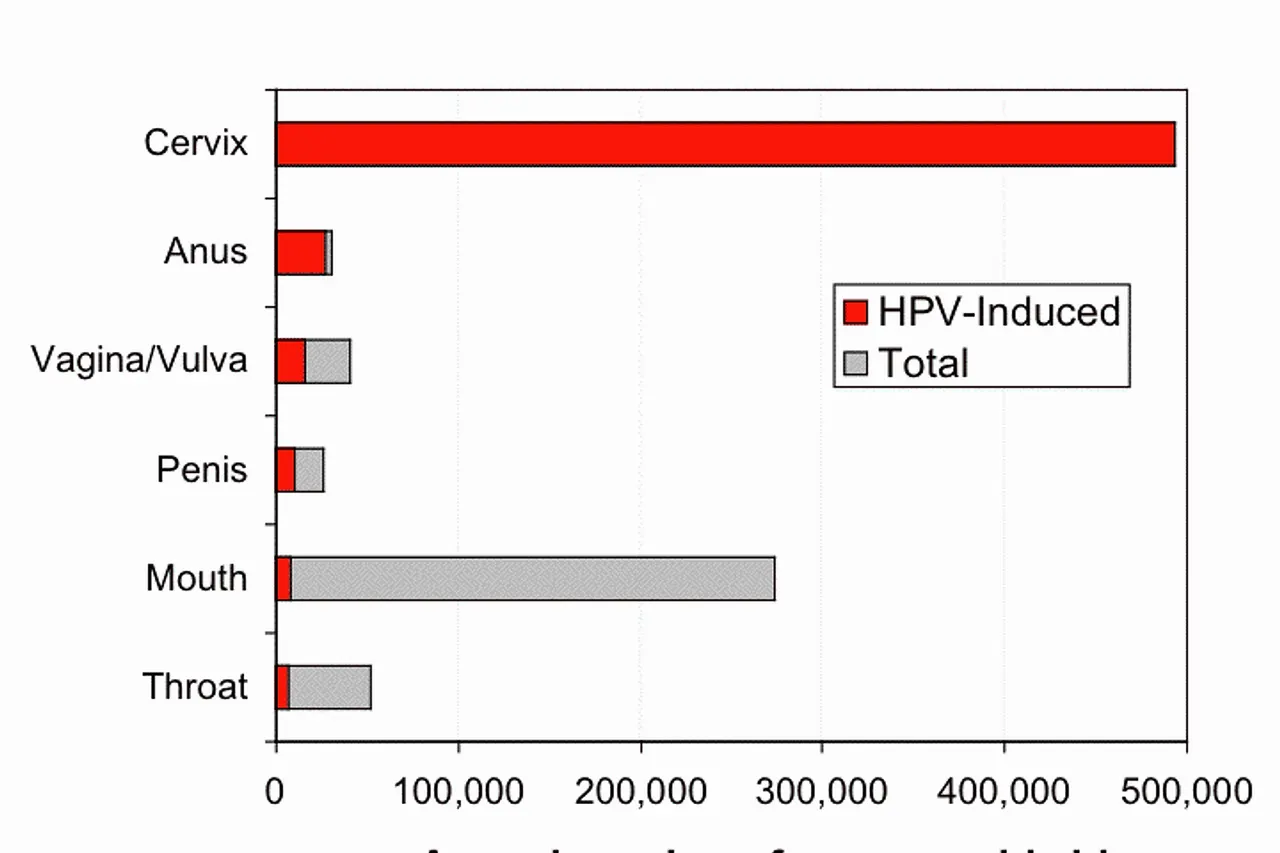 The graph shows the annual number of cases of various cancers worldwide. The fraction of cancers estimated to be induced by HPV is shown in red. For example, nearly all cases of cervical cancer are believed to be caused by HPV. Parkin, D. M. (2006)