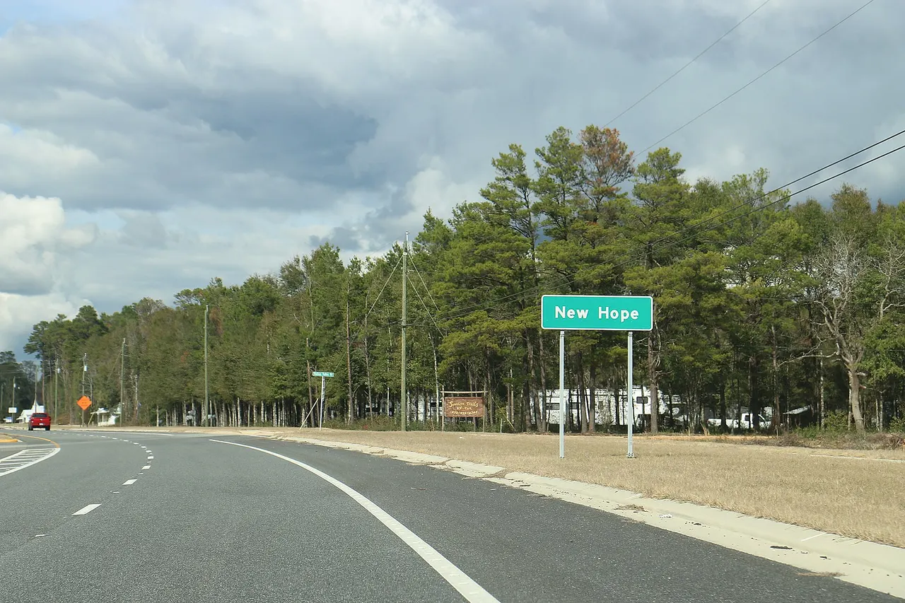 The sign for New Hope, Florida on SR79.